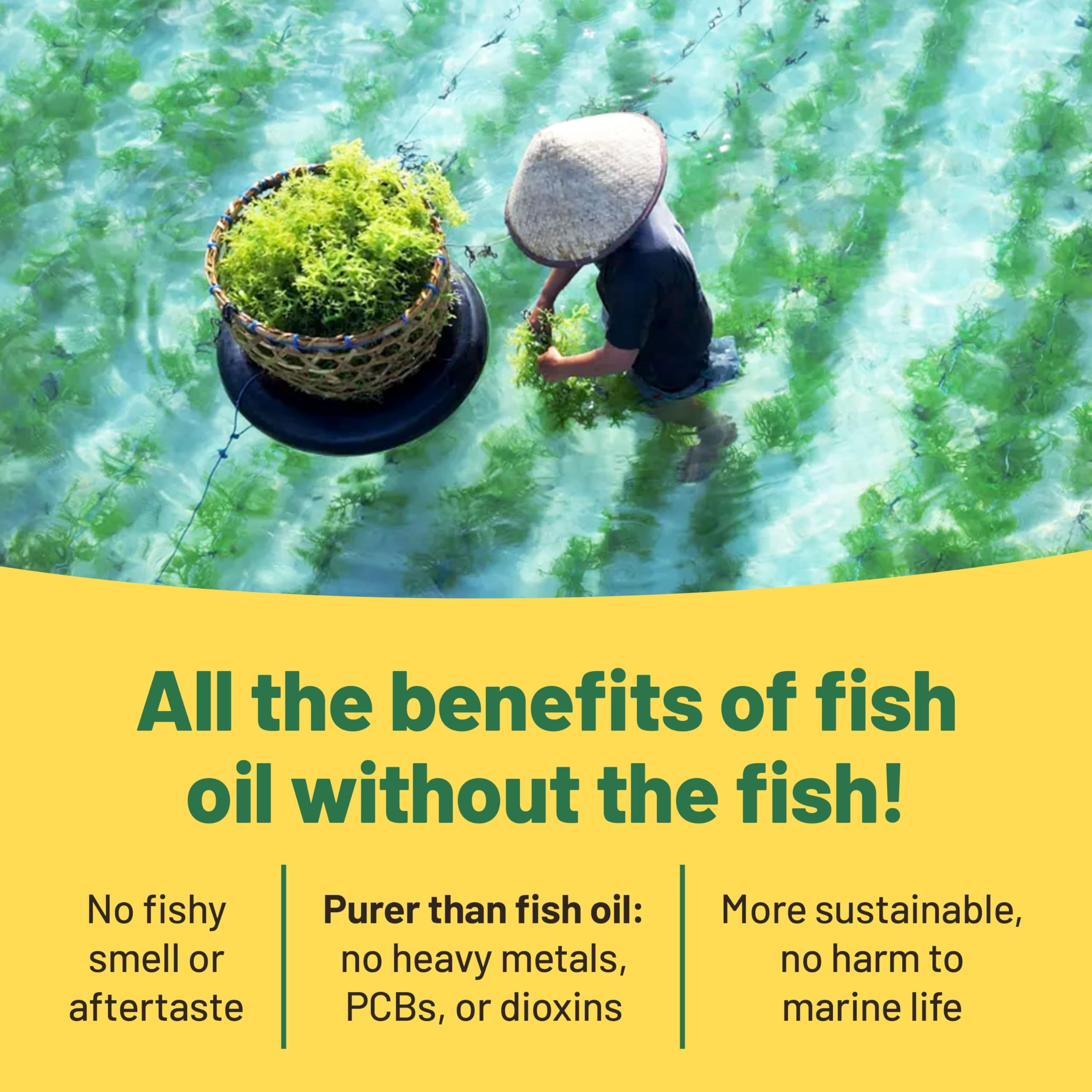 Vegan Vitality Omega-3 Algae Oil 100g capsule close-up