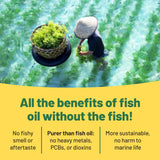 Vegan Vitality Omega-3 Algae Oil 100g capsule close-up