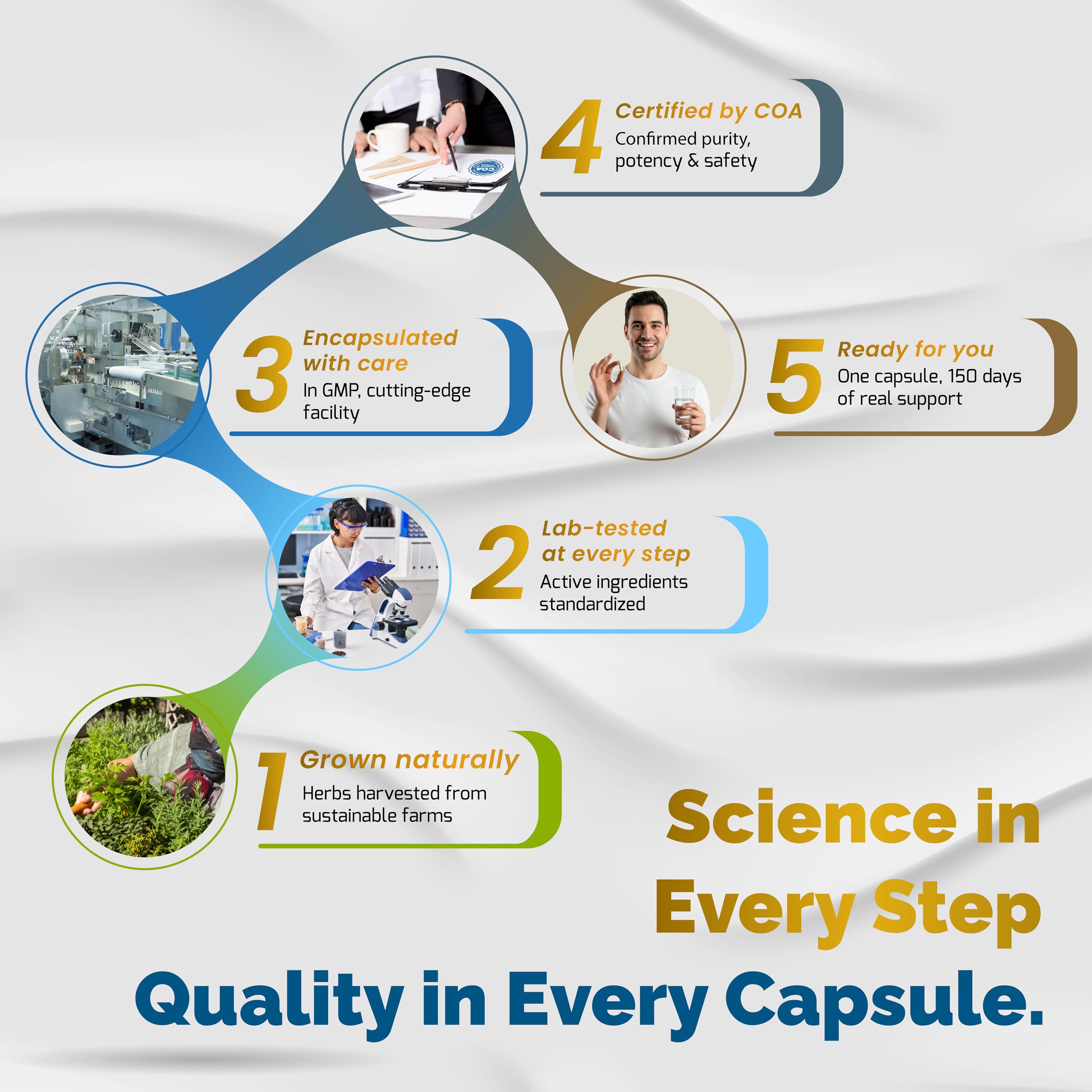 VEGATOT Brain Support Supplement in a wellness setting