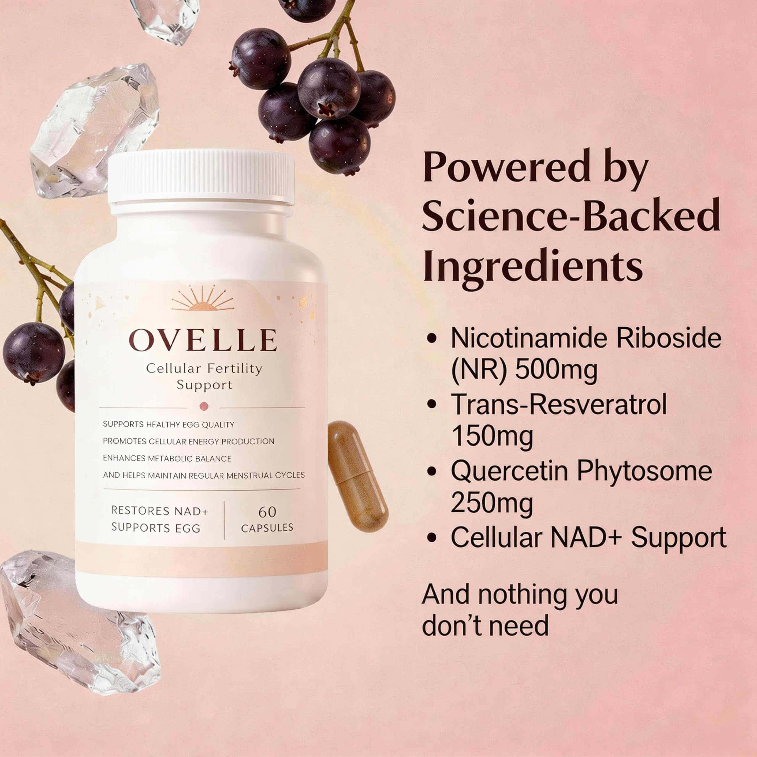 velura Ovelle Fertility Supply packaging close-up