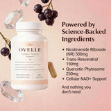 velura Ovelle Fertility Supply packaging close-up