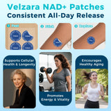 Velzara Resveratrol Patches back view showing application instructions