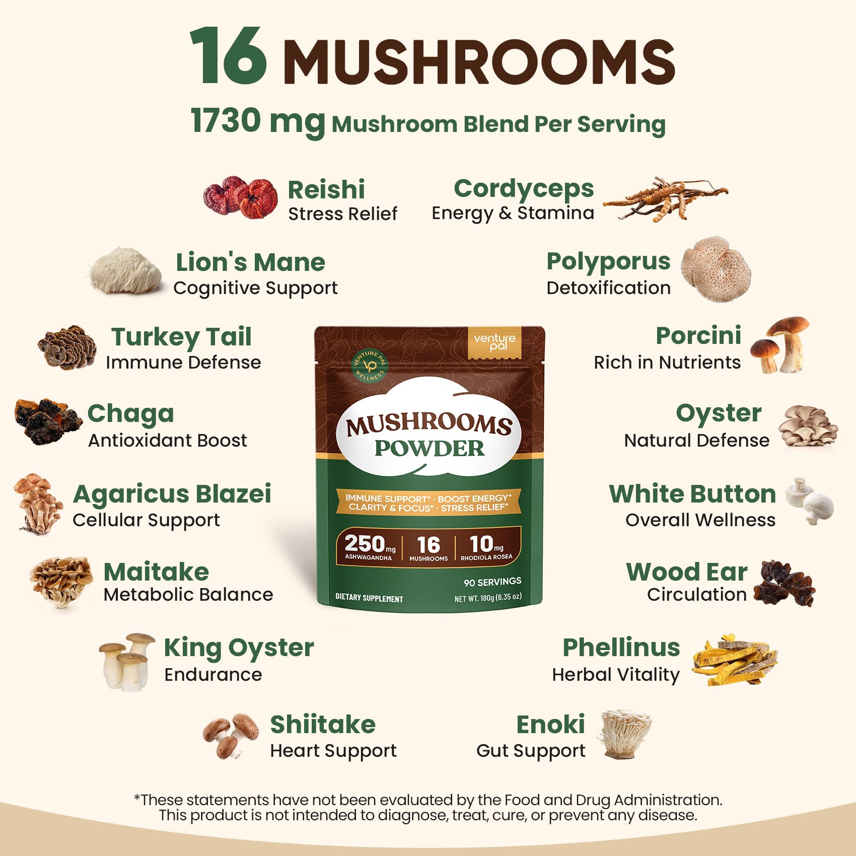 Venture Pal 16-Mushroom Powder serving suggestion