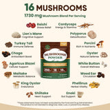Venture Pal 16-Mushroom Powder serving suggestion