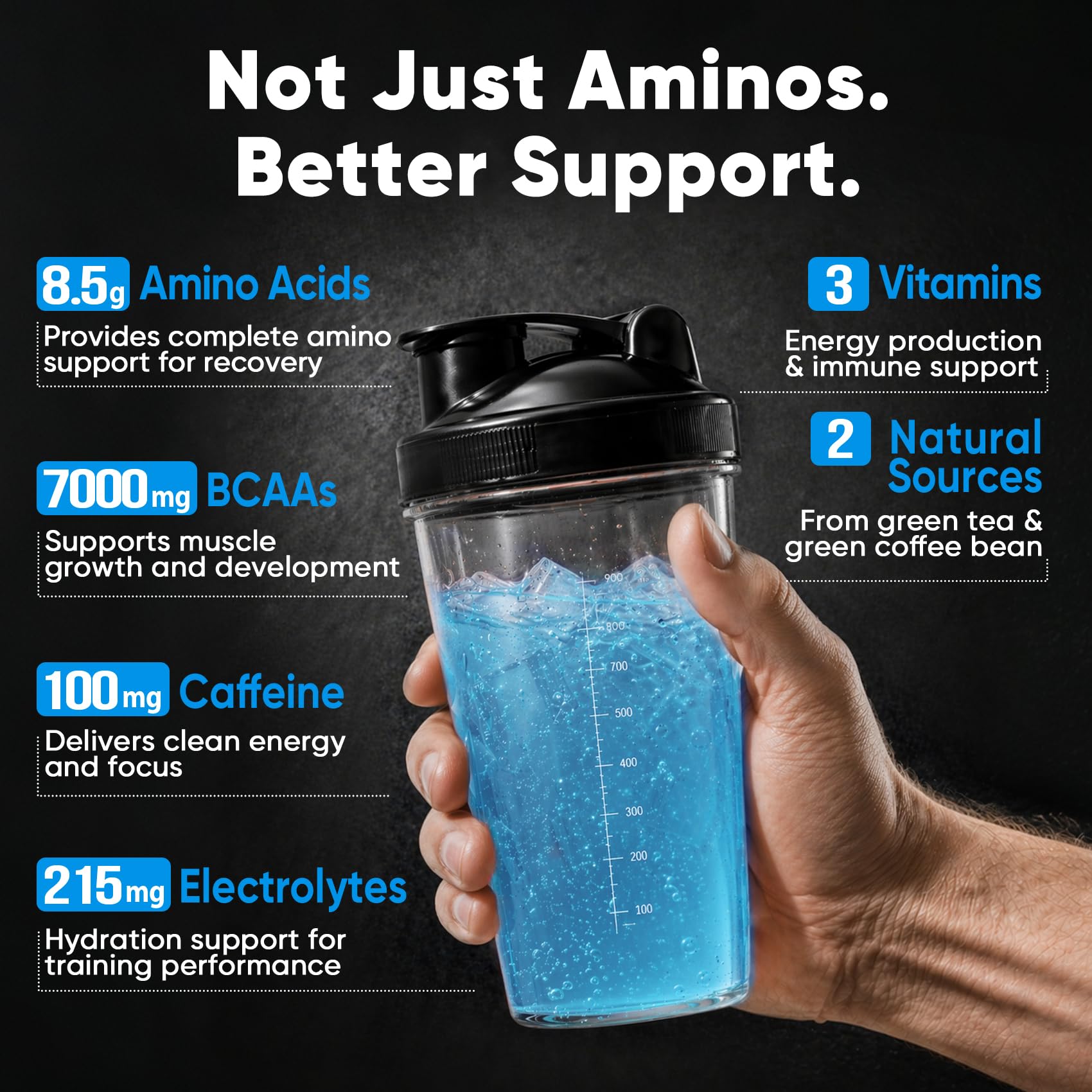 Venture Pal EAA Amino Acid Supplement 360g with a shaker bottle
