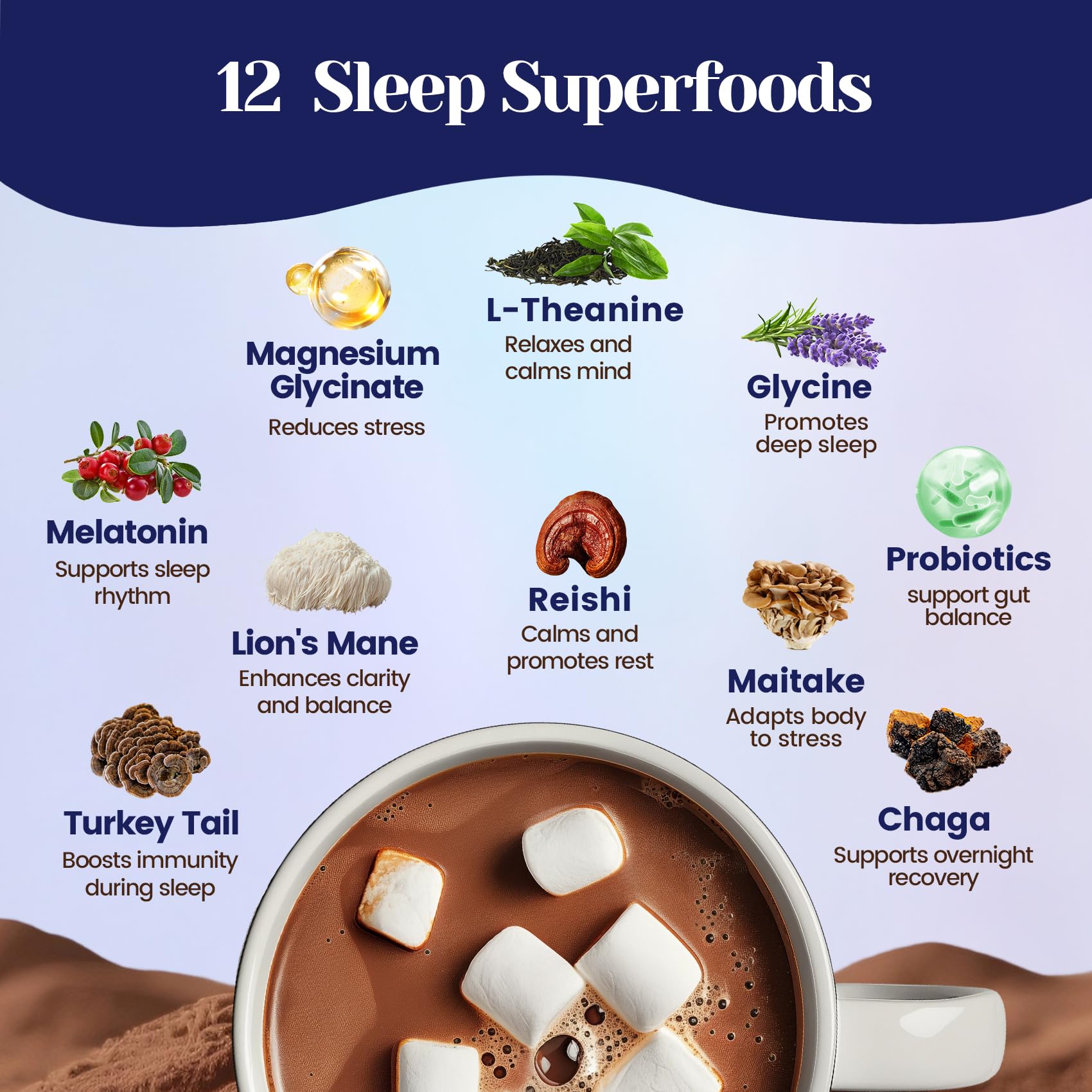 Venture Pal Mushroom Cocoa packaging with a cozy bedtime setting
