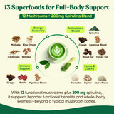 Venture Pal Mushroom Supplement mixed in a smoothie