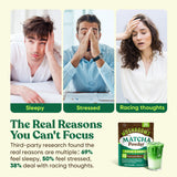 Venture Pal Mushroom Supplement with a spoonful of powder