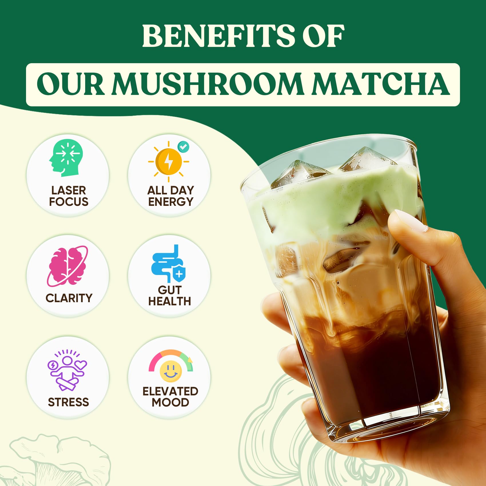 Venture Pal Mushroom Supplement with matcha and mushrooms