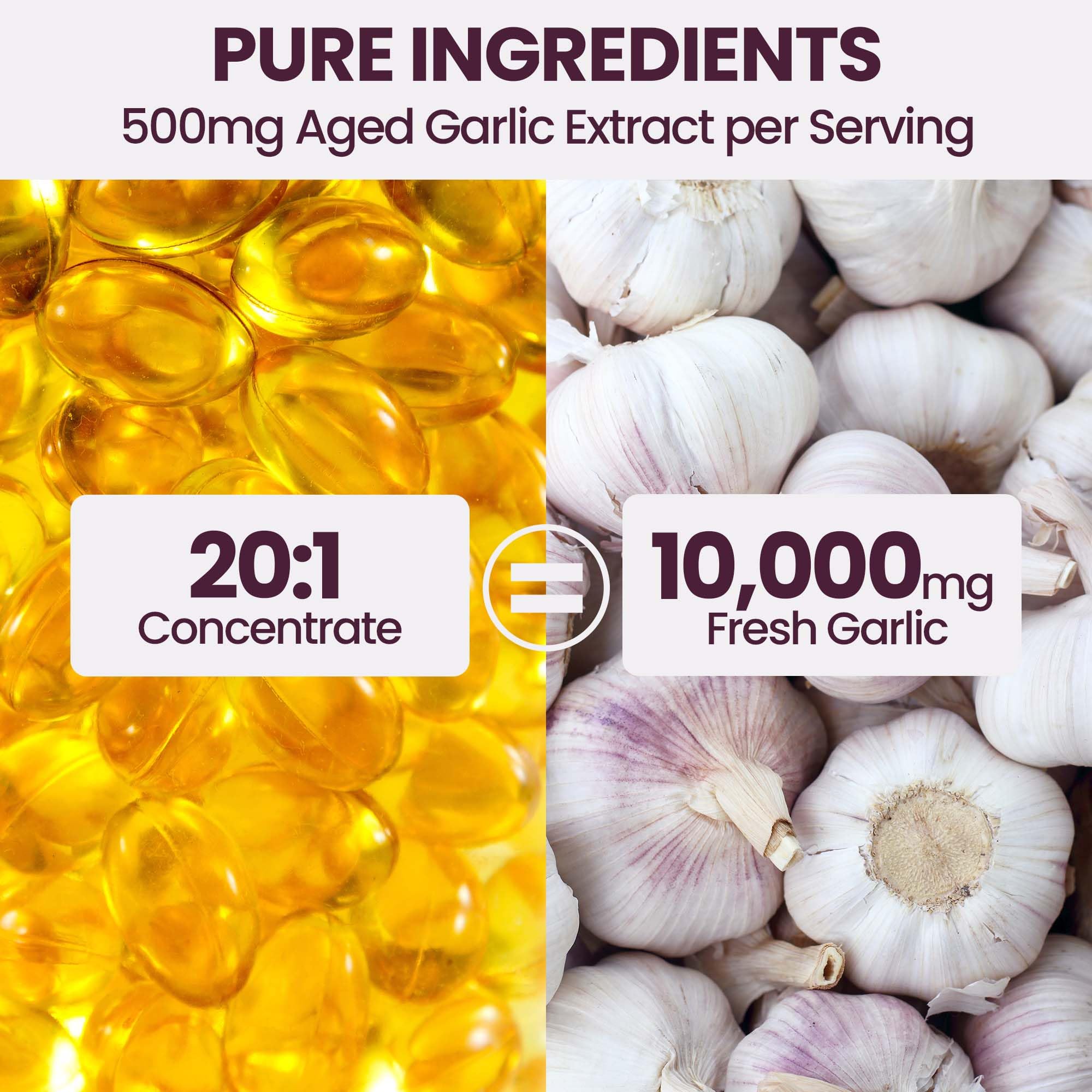 VerdiGusto Garlic Softgels 500mg Aged Garlic Extract back view