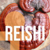 Vesper Mushrooms Reishi Mushroom Liquid Extract 2oz side view