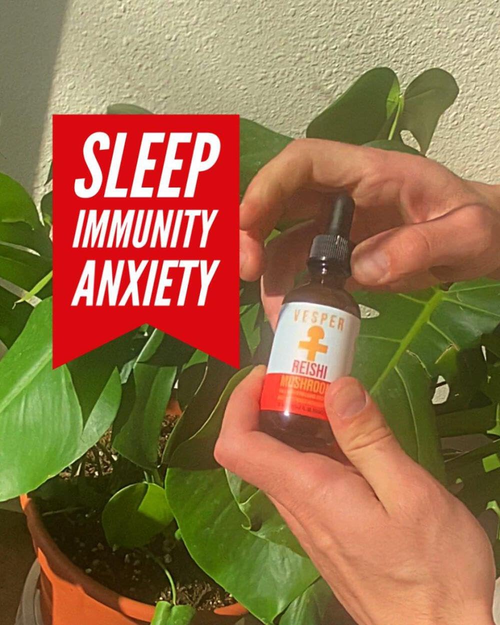 Vesper Mushrooms Reishi Mushroom Liquid Extract 2oz with wild huckleberries