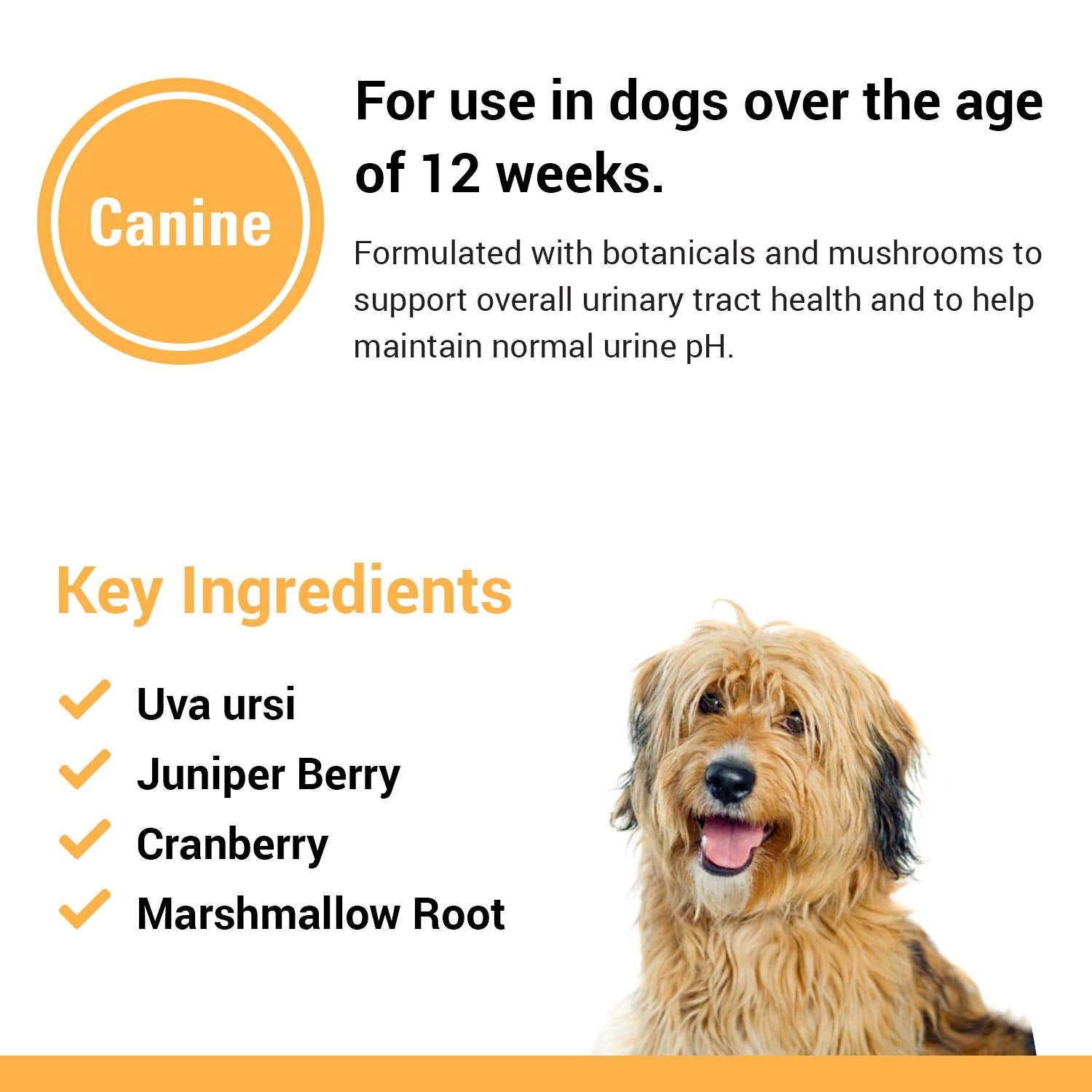 Vet Classics Urinary Tract Supplement in dog bowl