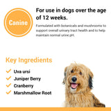 Vet Classics Urinary Tract Supplement in dog bowl