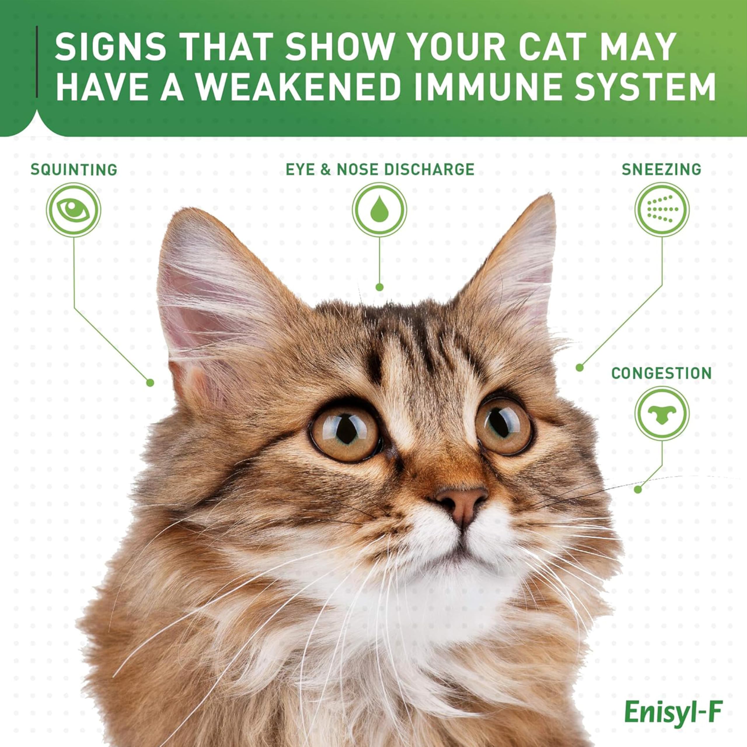 Vetoquinol L-Lysine supplement for cats side view of packaging