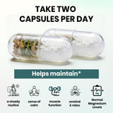 VEV Magnesium Bisglycinate 150mg with Zinc & B6 capsules in hand