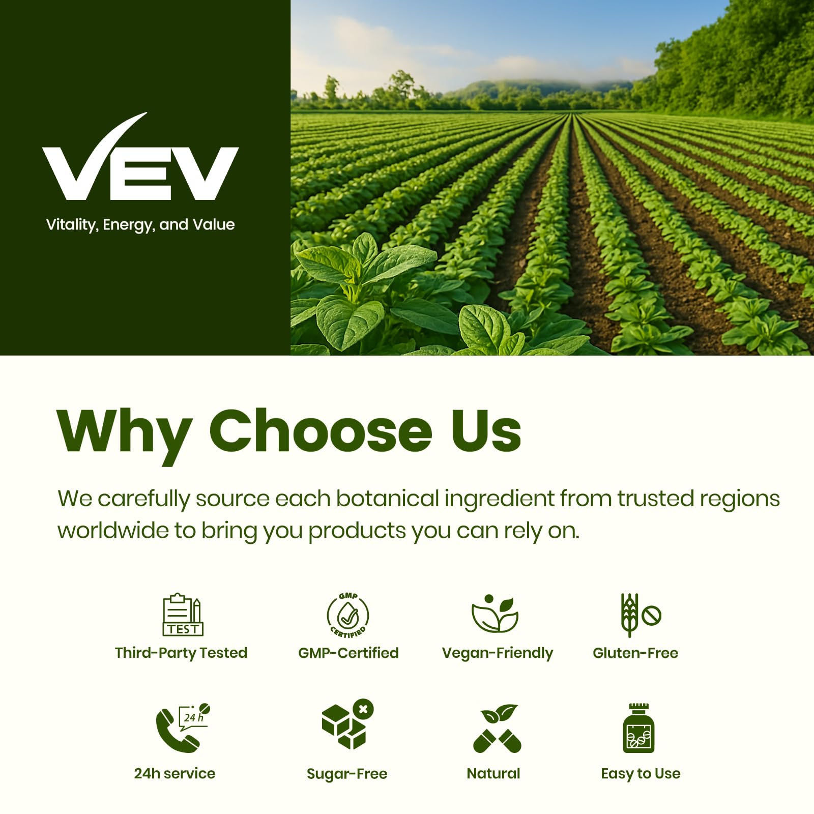 VEV Oregano Oil with Black Seed Oil softgels on a table