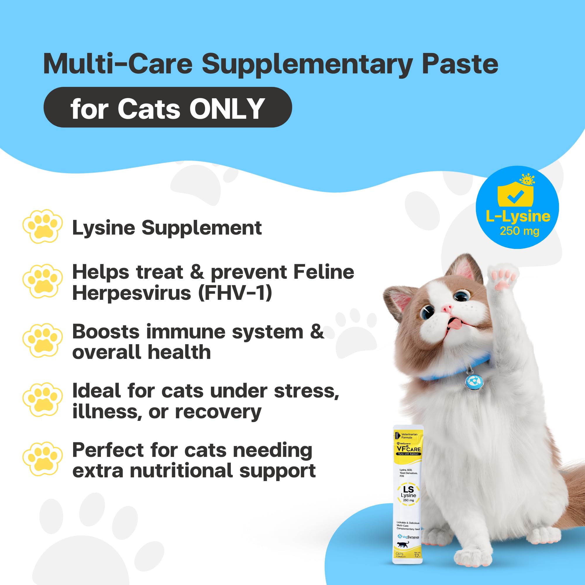 VFCARE L-Lysine Cat Supplement displayed in a bowl