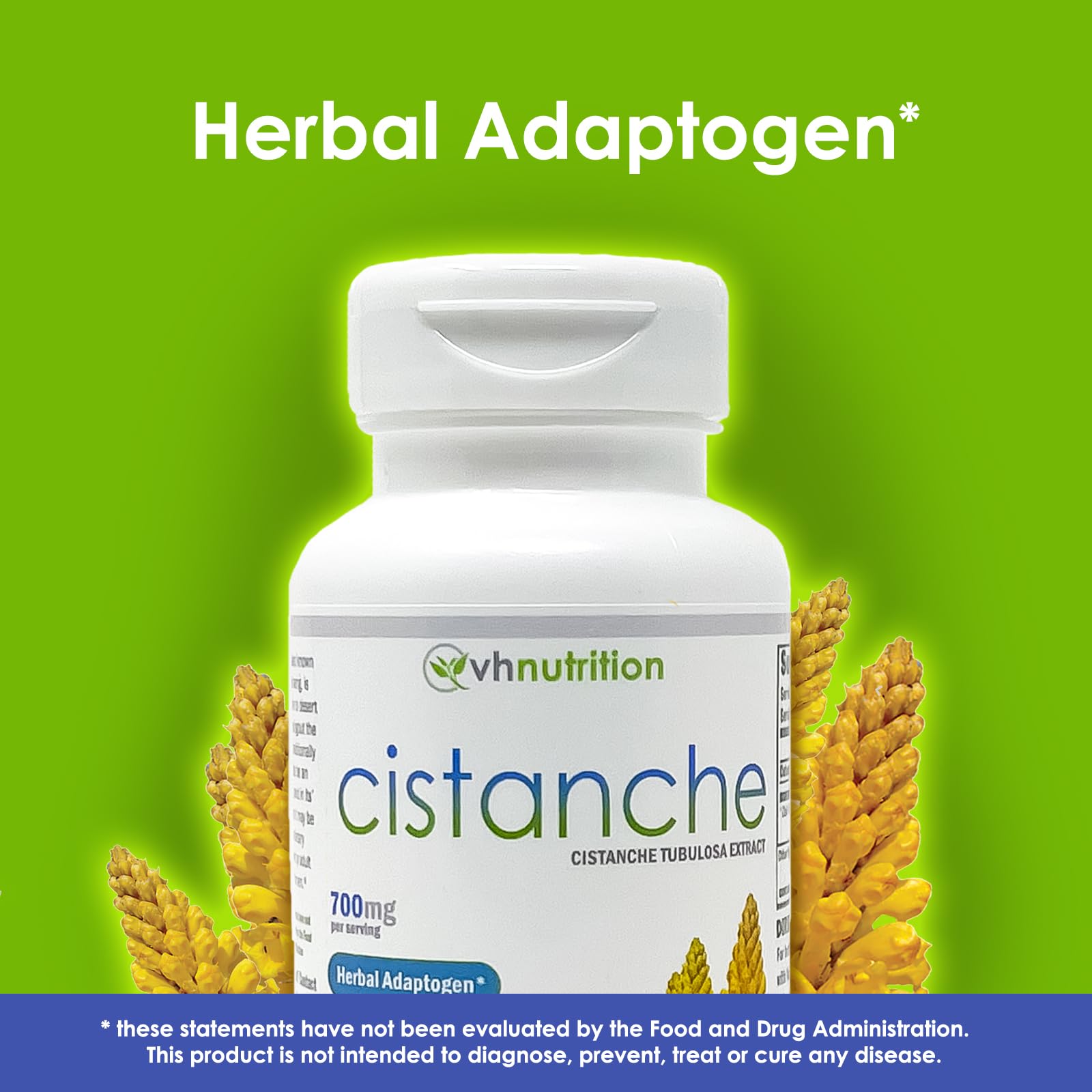 VH Nutrition Cistanche Mushroom Extract back view showing ingredients