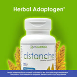 VH Nutrition Cistanche Mushroom Extract back view showing ingredients