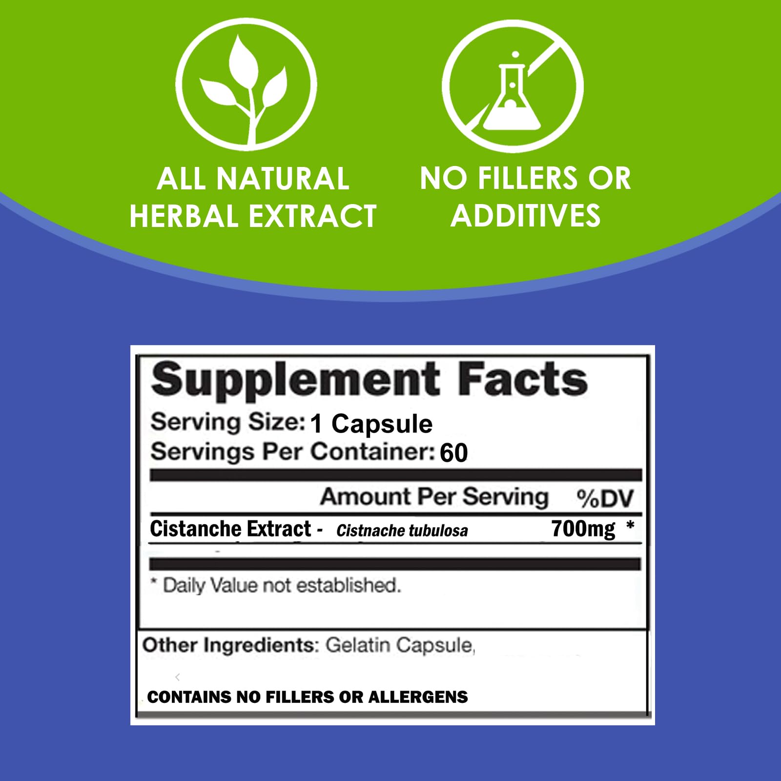 VH Nutrition Cistanche Mushroom Extract close-up of capsules