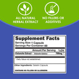 VH Nutrition Cistanche Mushroom Extract close-up of capsules