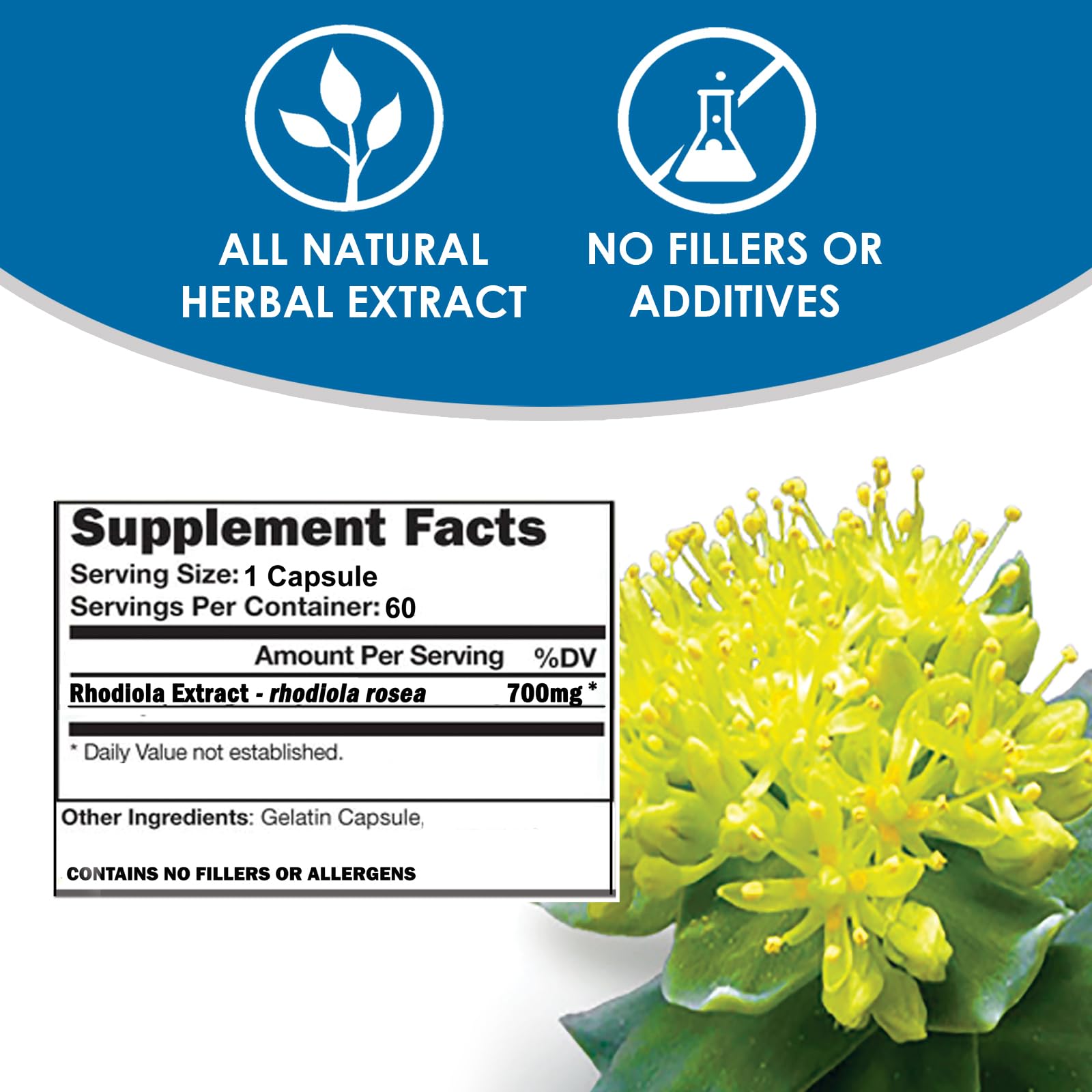 VH Nutrition Rhodiola Rosea Supplement side view
