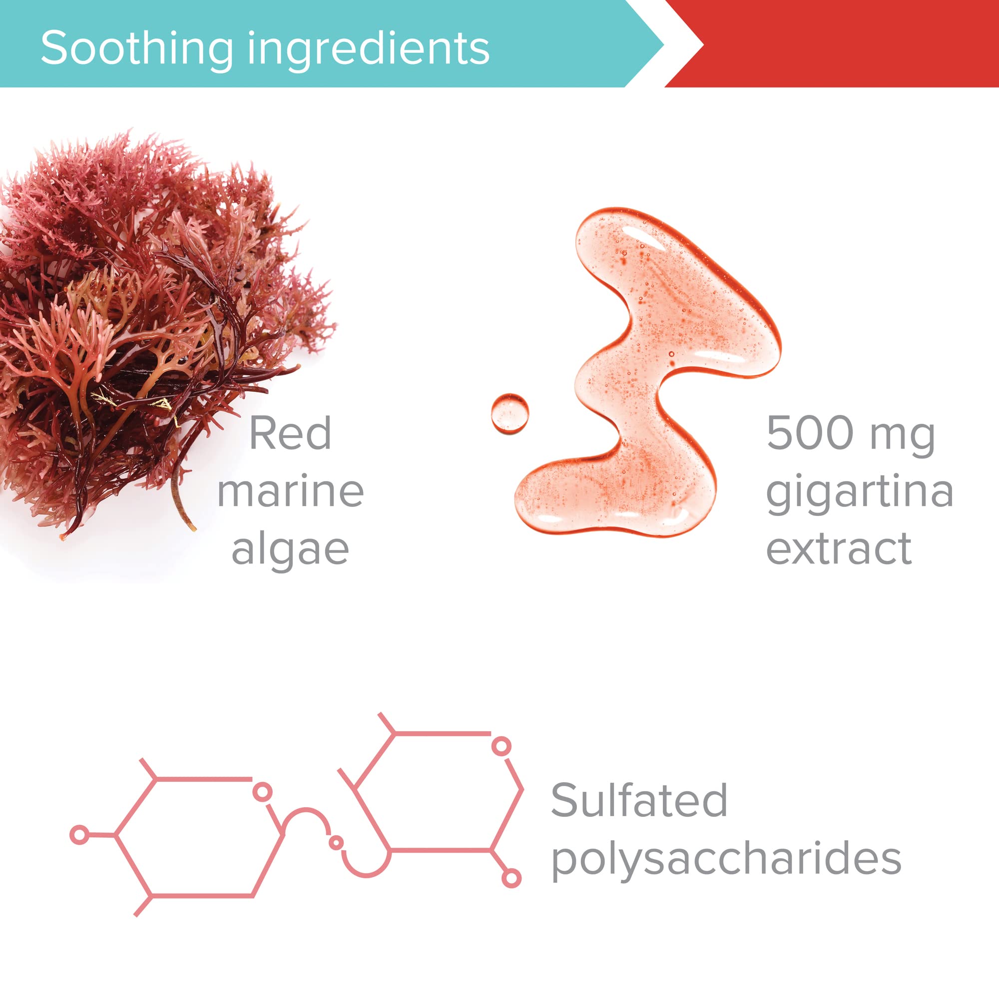 Vibrant Health Gigartina Red Marine Algae Capsules with a measuring spoon