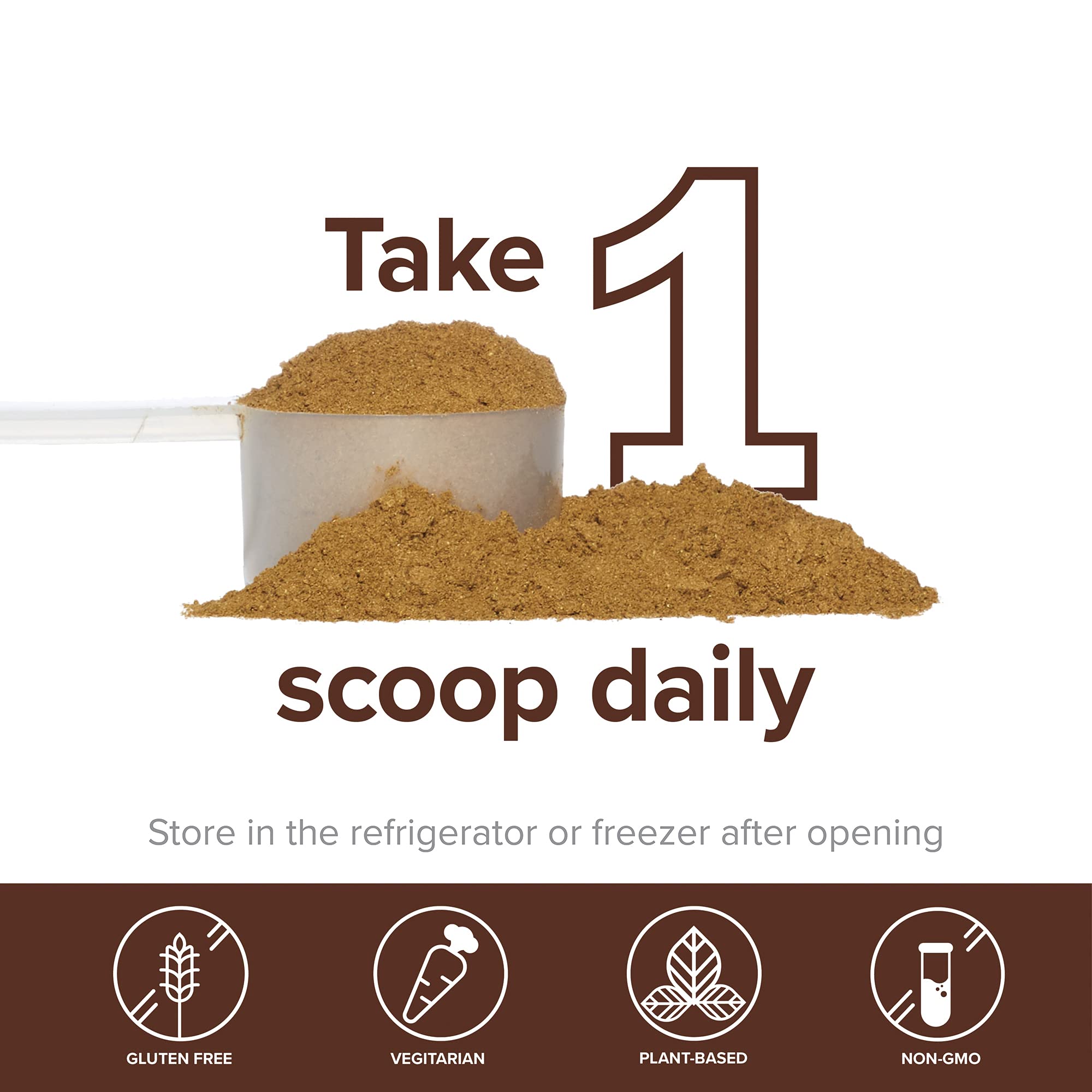 Vibrant Health Probiotic Powder in a kitchen setting