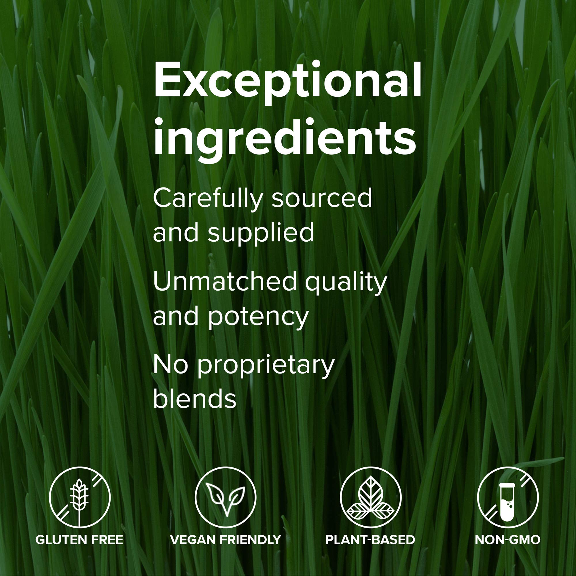 Vibrant Health Spirulina Capsules in a kitchen setting