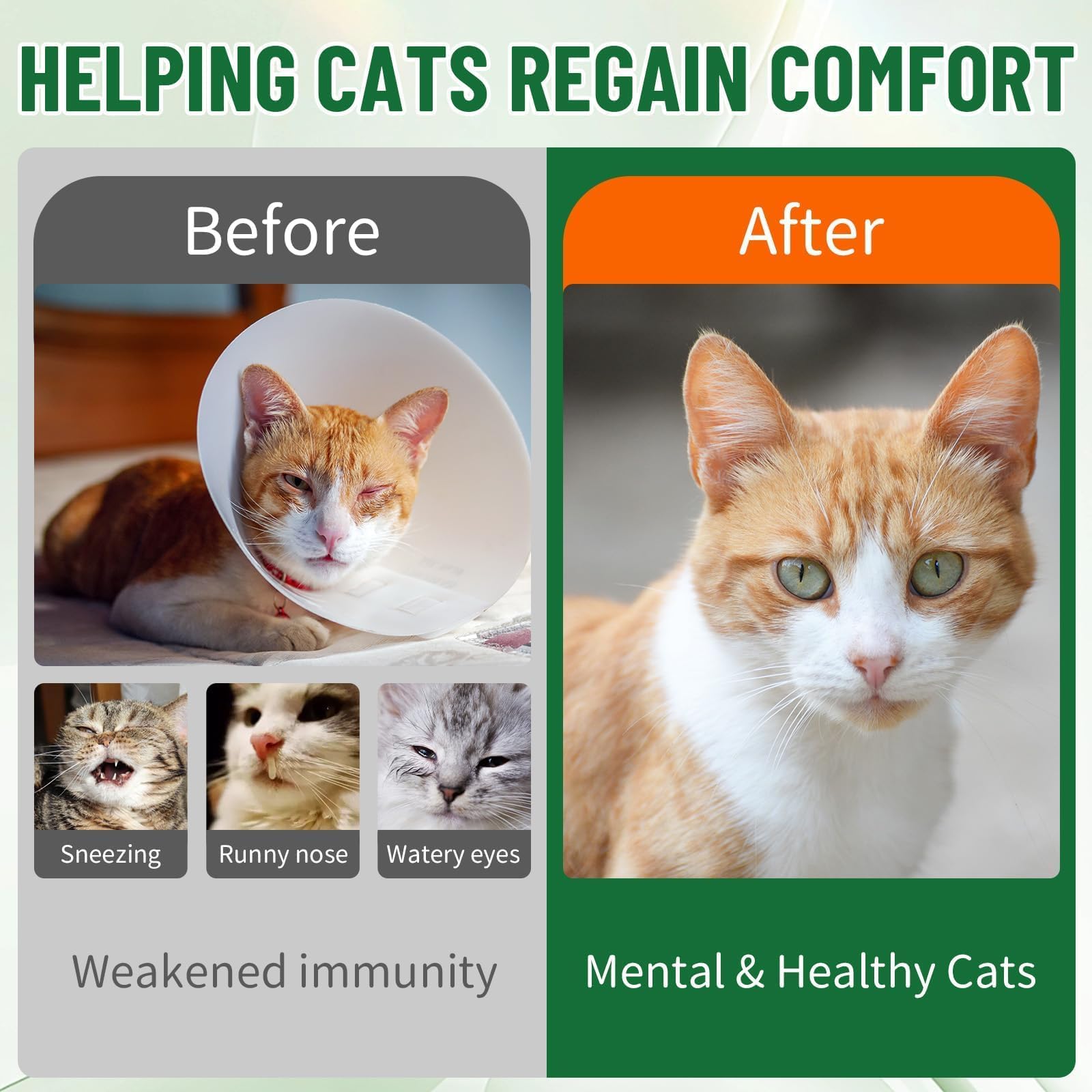 VICSOM L-Lysine for Cats 132g bottle with cat food
