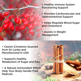 VIDAVITE Berberine Plus Ceylon Cinnamon Gummies with a measuring spoon