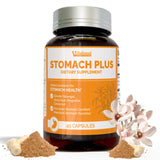VIFADIMED Stomach Plus Herbal Supplement 60 Capsules front view