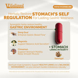 VIFADIMED Stomach Plus Herbal Supplement 60 Capsules side view