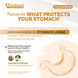 VIFADIMED Stomach Plus Herbal Supplement packaging