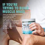 VIFSSG EAA Gummies Blue Raspberry in a hand