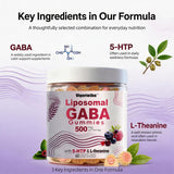 Vigorintha GABA Gummies packaging with 2 bottles