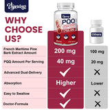 Vigorizar French Maritime Pine Bark Extract 200mg softgel capsules in hand