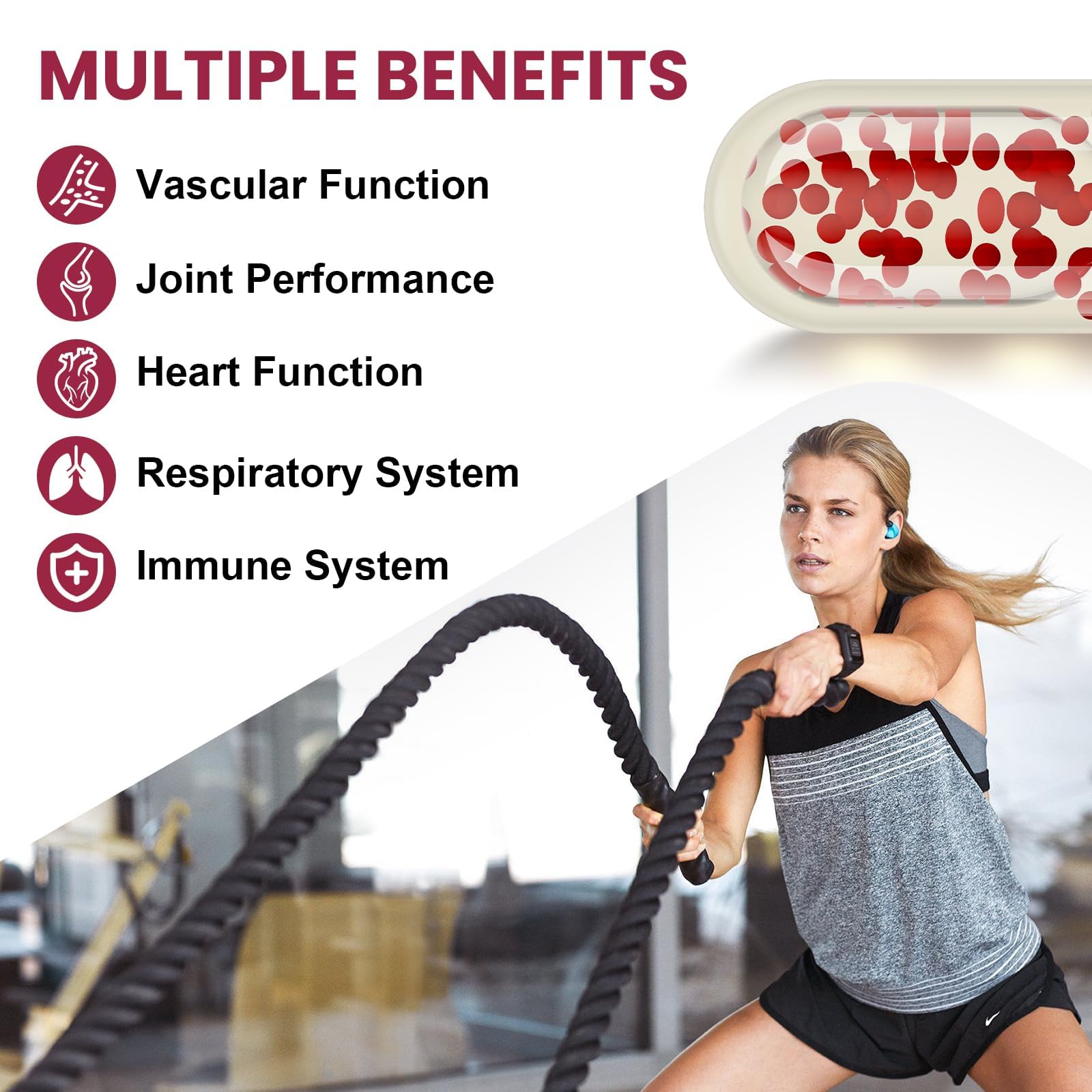 Vigorizar French Maritime Pine Bark Extract softgels with ingredients list
