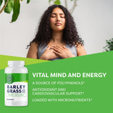 Vimergy Barley Grass Juice Capsules side view showing capsule size