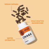 Vimergy Chaga Mushroom Capsules open bottle with capsules visible