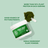 Vimergy Organic Barley Grass Juice Powder 125g scoop next to powder