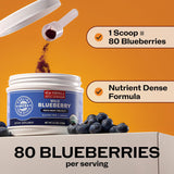Vimergy Wild Blueberry Powder in a glass of juice