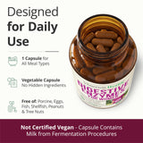 Vimerson Health Multi-Enzymes capsules on a kitchen counter