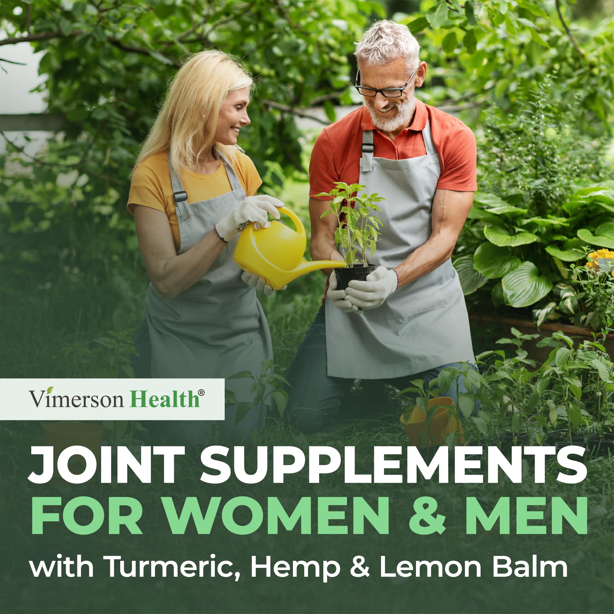 Vimerson Health Turmeric Curcumin Supplement nutritional information