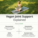 Vimerson Health Vegan Chondroitin Joint Support Supplement ingredients list