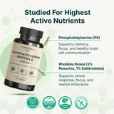 VINATURA Brain Health Supplement capsules on a table