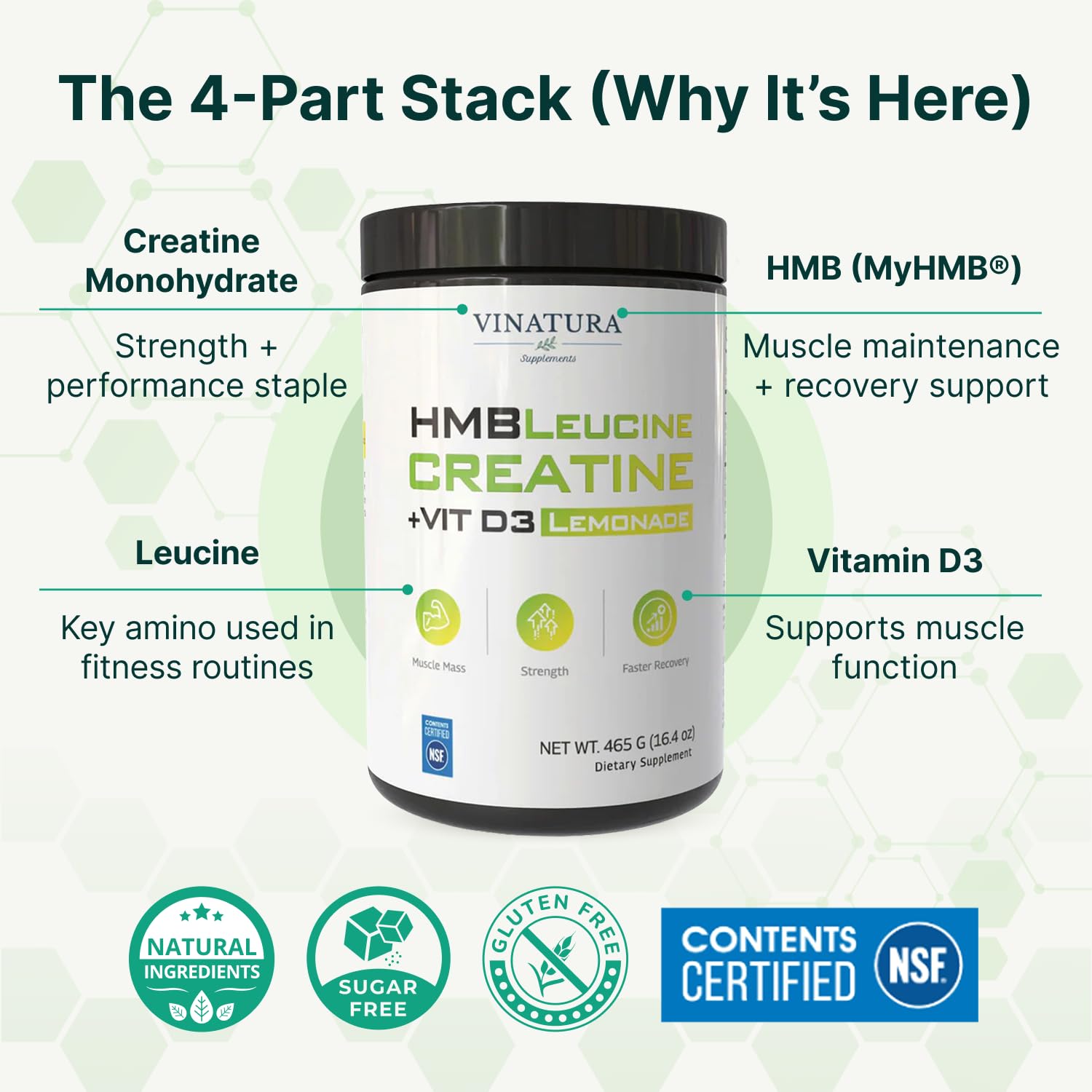 VINATURA Creatine HMB Powder side view showing packaging details