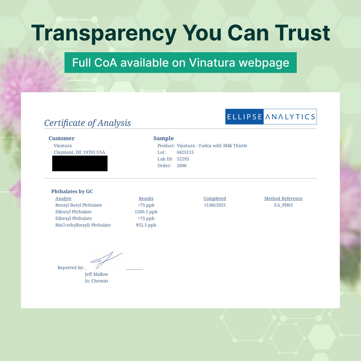 VINATURA Milk Thistle TUDCA 1250mg capsules in a hand