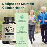 VINATURA NAD+ Supplement 1000mg 60 Capsules bottle with cap